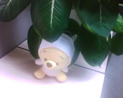 百万像素UIQ强机 诺基亚6708详细评测