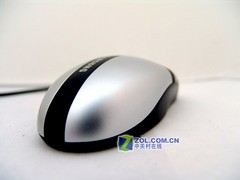ŷ����ʿ���� ����ʮ��ʥ��������� 
