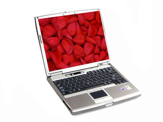Latitude D610(ʱ1)