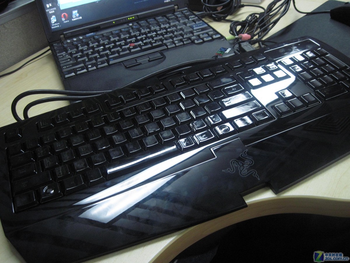 razer 黑腹狼蛛镜面特别版