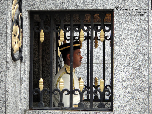 ����TX5������������ 