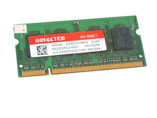 ��ʿ̩256MB DDR533