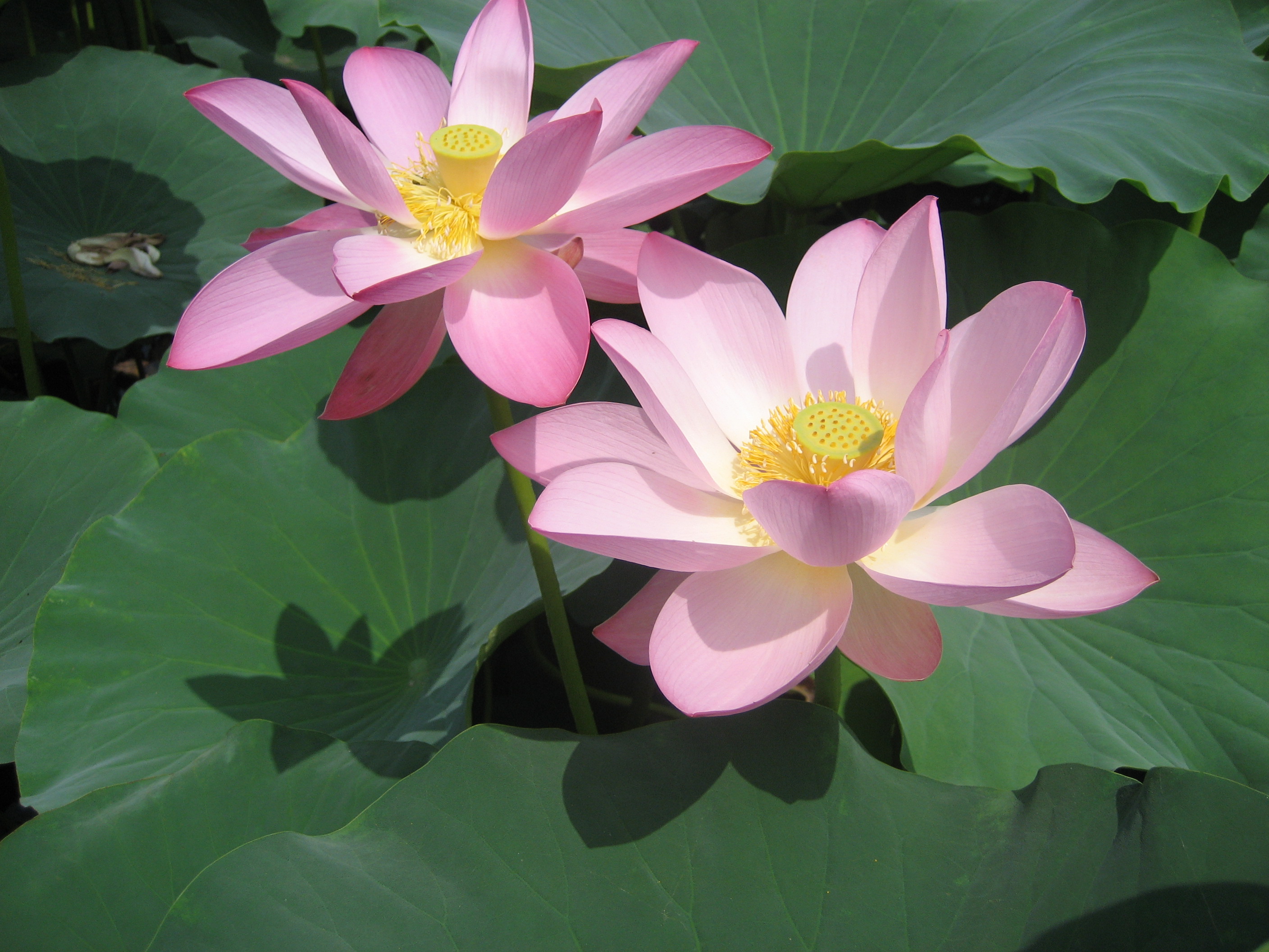 拍照片得大奖 佳能摄影赛作品赏(1)