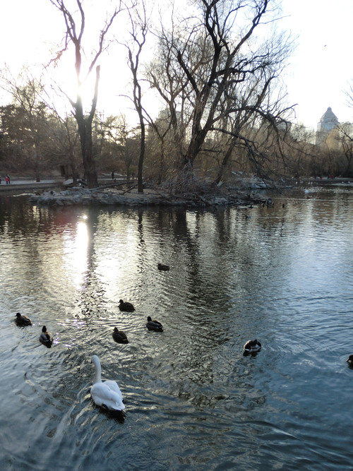 ����Ƿ�֮�� ����ŷZR10��ɫ������� 