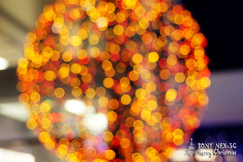 ���������ʥ���� ����NEX5���������� 