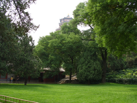 ���ܲ��� ����800������L85���ñ��� 