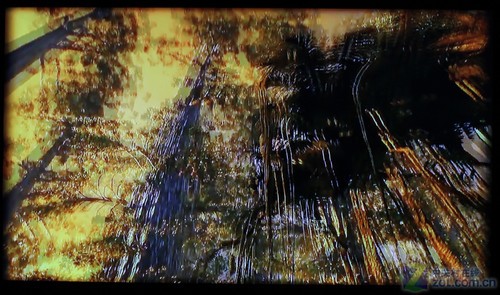 ׿пֽĿ ⿵3D 