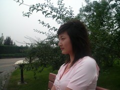 ��ѧ�佹֮�� ŵ����N93��ƴ����V903SH 