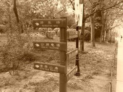 ŵ����N73����K800i��ս320������֮�� 