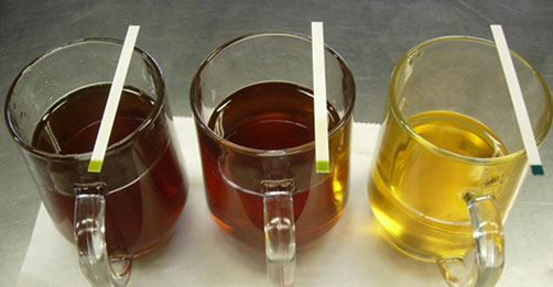 网友教你辨别地沟油