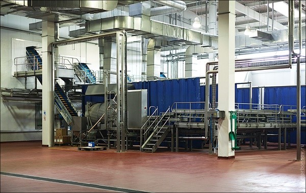 乐事薯片工厂大揭秘