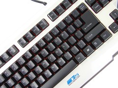 �ղرر� �װ�V5 ESL������������� 