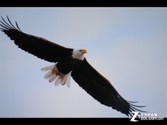 3D+1080pӰԺ ͶӰW7000ײ 