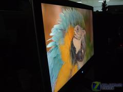 ���ɶ���22Ӣ�����Һ��VX2235wm���� 