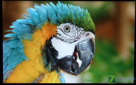 ���ɶ���22Ӣ�����Һ��VX2235wm���� 