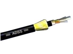 ���Ʊ��ڷǽ���24о��ģ��������(ADSS-24B1)