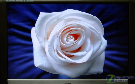 AOC�泬������ŷ 198PW��ý��LCD���� 
