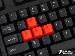 ˫涯Ƿָ T20Ϸ 