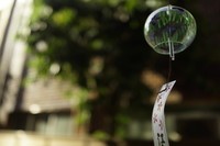 2400万全画幅震撼全场 索尼RX1样片欣赏