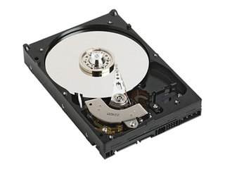 WD WD2500JS 