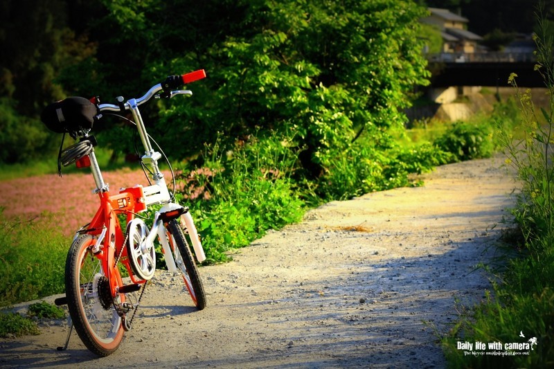 佳能450d样张第50张