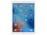 ƻ��12.9Ӣ��iPad Pro��256GB/WiFi�棩